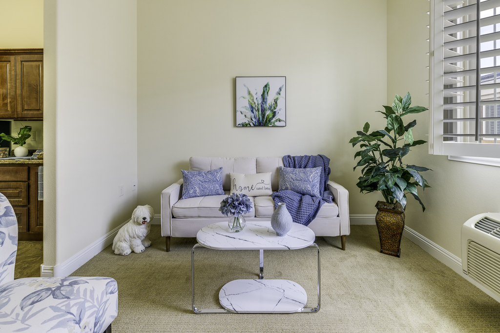 Delicious plate of food